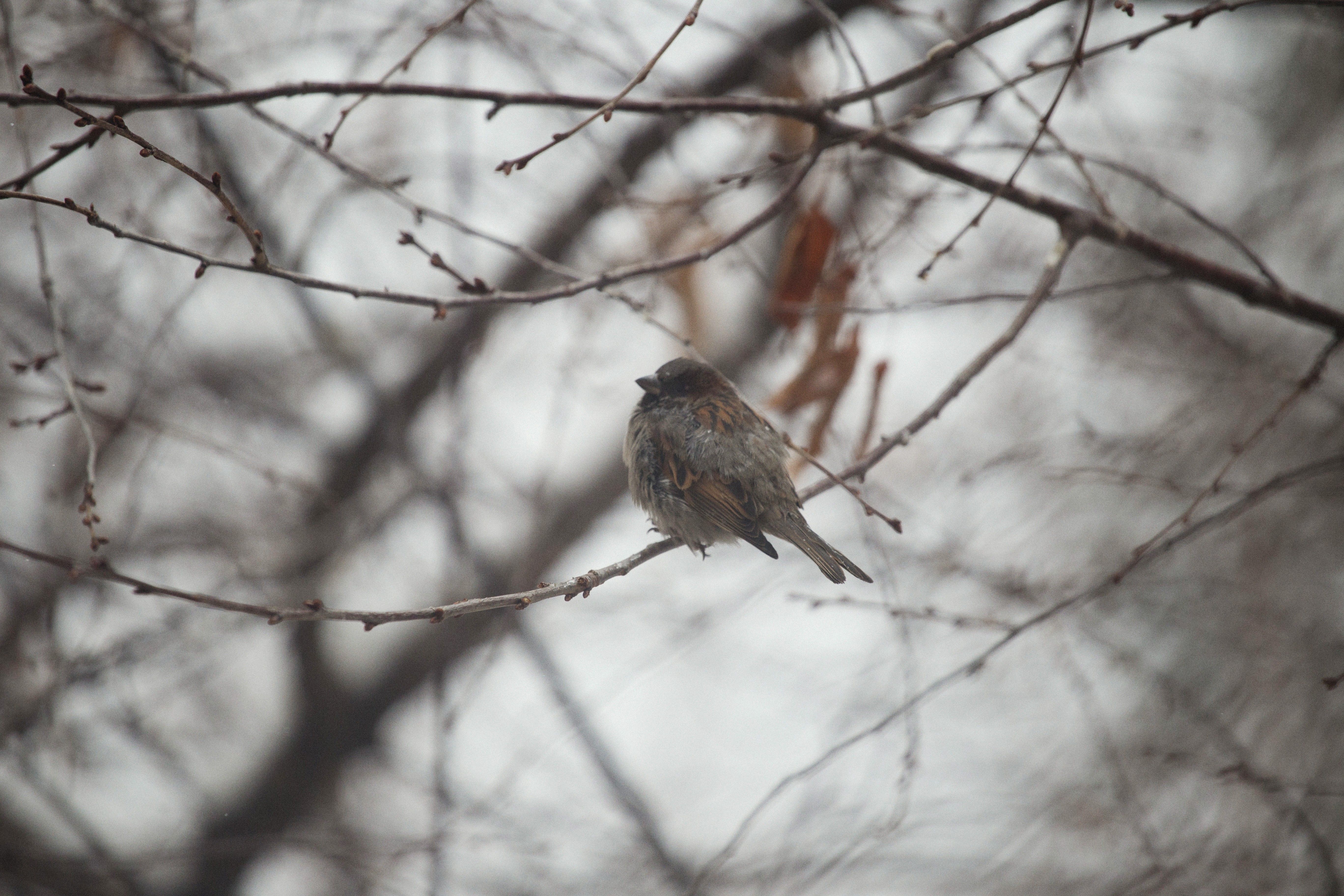 Three Poems by Emily Vogel