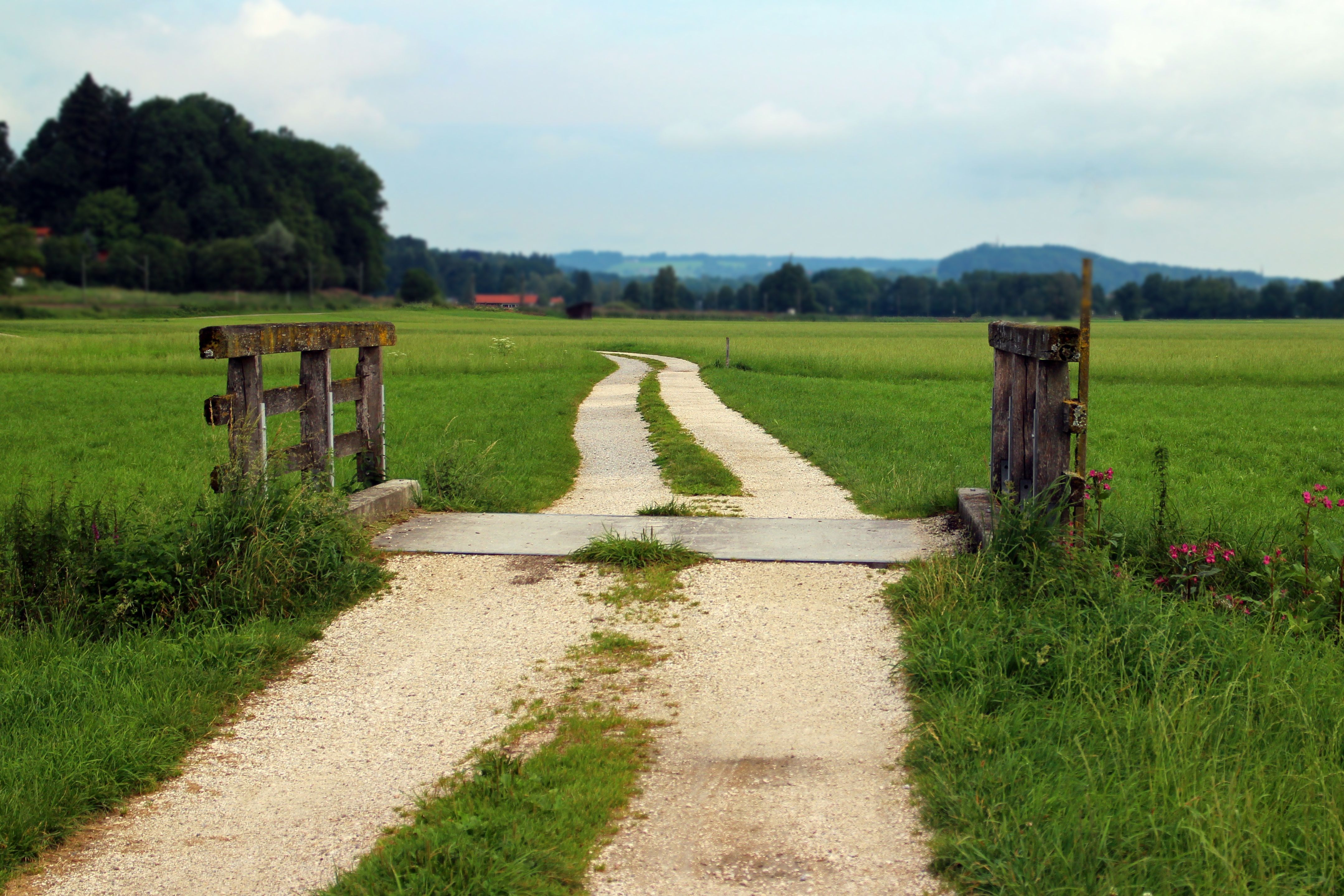 Three Poems by Cleo Griffith